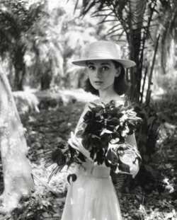 classicfilmgirl:  Audrey Hepburn in Congo,