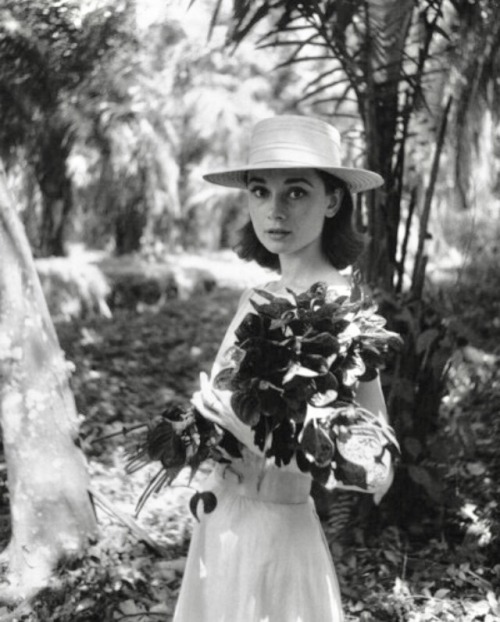classicfilmgirl:  Audrey Hepburn in Congo, 1958