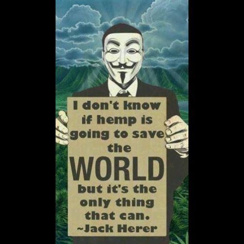 &ldquo;#Cannabis #Cannabinoids #THC #CBD #Terpenes #Sativa #Indica #Hemp #Herb #Flower #Plant #G