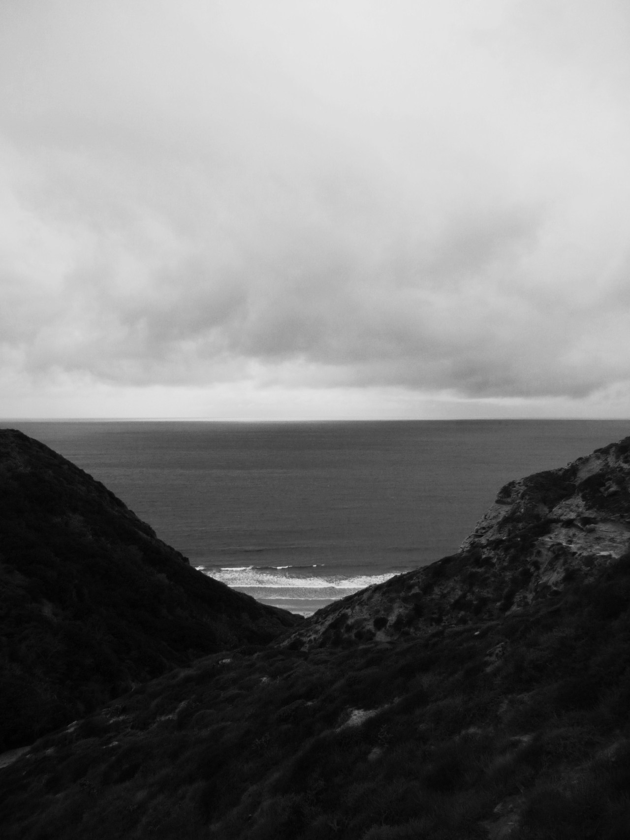 sonyagrayredi:  Ocean Sonya Gray Redi