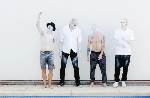 XXX fanaticbychoice:    The Red Hot Chili Peppers photo