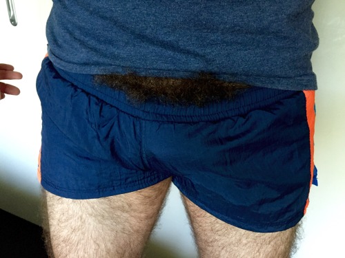 sydneyweirdbeard: For the lovers of bush like me. BUUUUSH!!