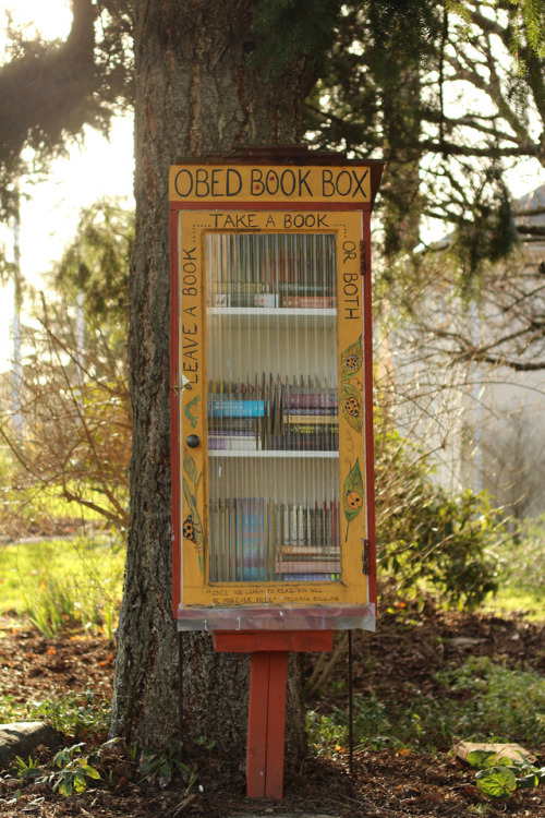 Another magical neighbourhood book exchange in Victoria, BC, Canada.
“Books are a uniquely portable magic” - Stephen King