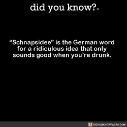 did-you-know: “Schnapsidee” is the German