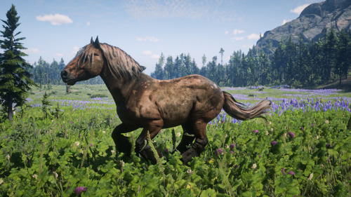 Red Dead Redemption 2 Gang Horses