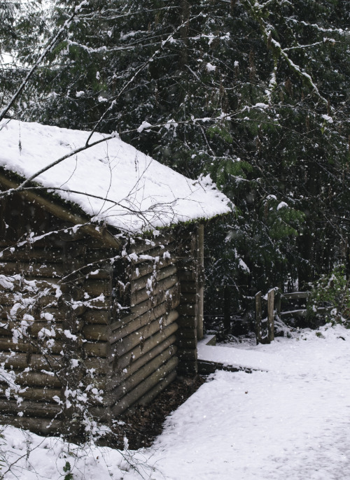 Cabin in Seabeck, WA