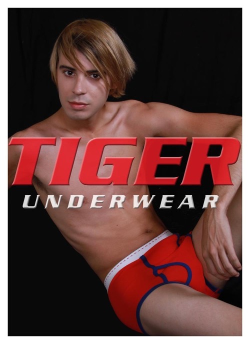 seanbriefboi: seriousunderwearcollectors: RED WITH BLUE TRIM & WHITE WAISTBAND TIGER FLY FRONT B
