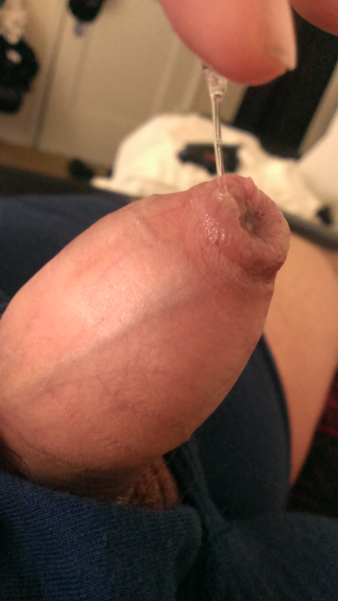 gallardocolour:  iloveprecum:  Thanks for submitting, Cris!    Some nice precum.