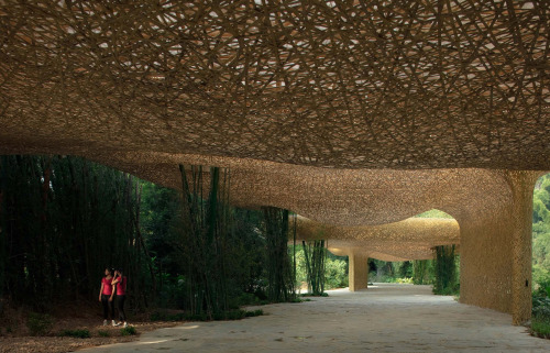 archatlas:Light Streams through a Swelling Canopy of Woven Bamboo in China’s Karst MountainsAn under