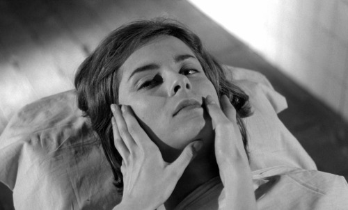 ozu-teapot:Les yeux sans visage (Eyes Without a Face) | Georges Franju | 1960Edith Scob, Juliette Mayniel