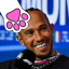 luchitohamilton