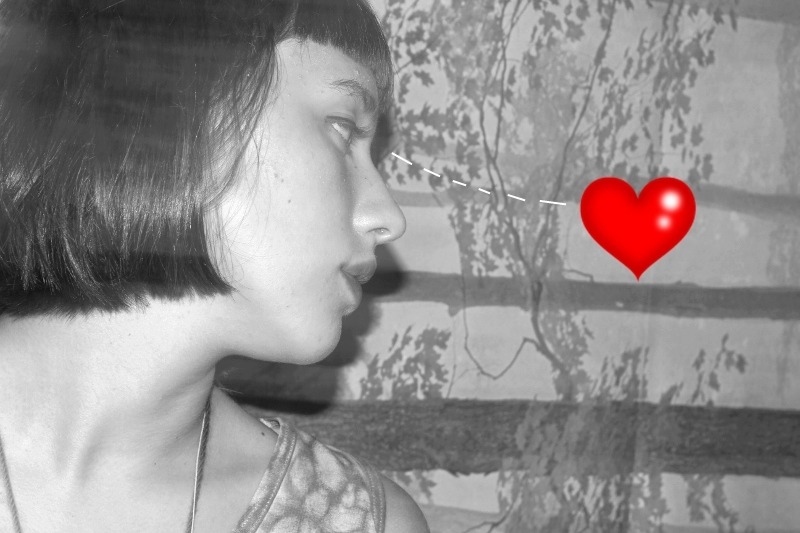 sarsenet:  heart