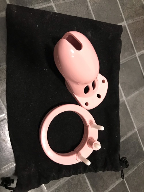 My Wife Bought Me The Cheap Plastic Cage For A Christmas Present, She Wasn’t Too Impressed As The Back