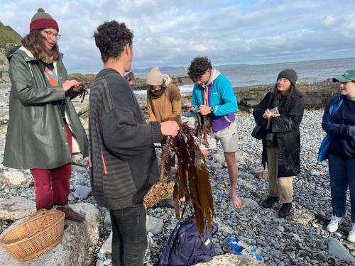 seaweed foraging + cyanotype workshop with kasia kaminska and samuel arnold keane, bray, co. wicklow. octover 2023