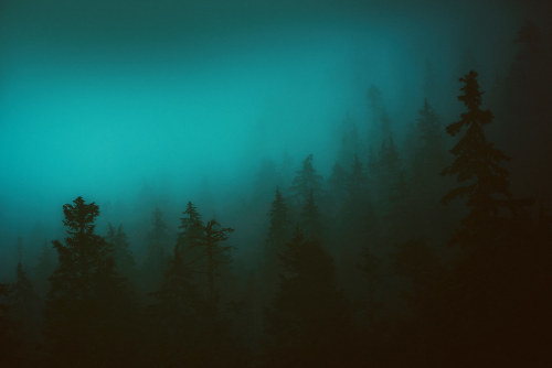 Strachan Forest Mist by Atmospherics Follow Atmospherics on Instagram