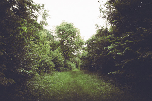 stereocolours:Adam Marshall - 5th WaySociety6 | Facebook | Twitter | Flickr | Behance
