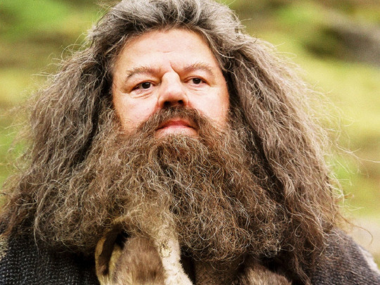 Harry Potter Characters As Dogs