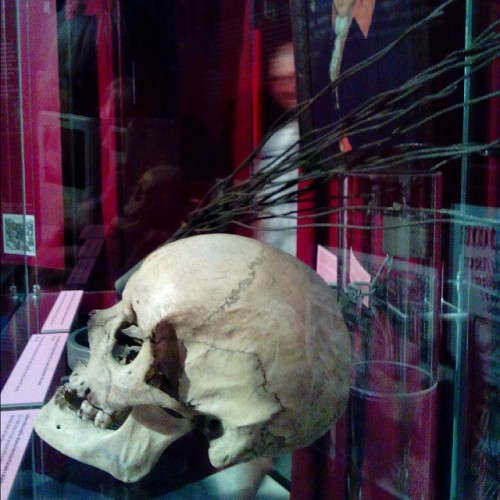 #torture at the #death #exhibition, #narodnimuzeum #praha #prague