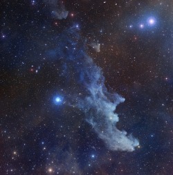 wonders-of-the-cosmos:    IC 2118: The Witch Head Nebula (Credit: Digitized Sky Survey; Color Composite: Noel Carboni)