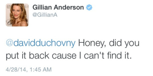 ill-show-you-later:  ill-show-you-later:  ill-show-you-later:  Master Twitter Fuckery Post  Updating what should be above Gillian’s “Hi David.”   