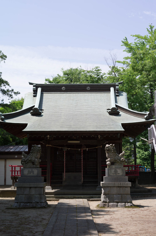 mizunokisu: Shinmei jinja shrine by Keisuke Hoshino Via Flickr: Camera: Leica S2-P Lens: SUMMARIT-S 