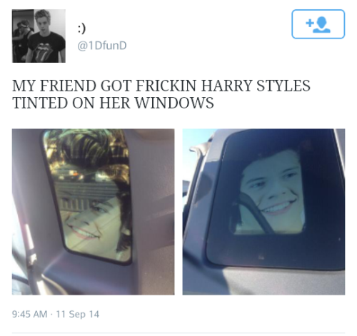 niall-horan:damn…. shes 1D AF