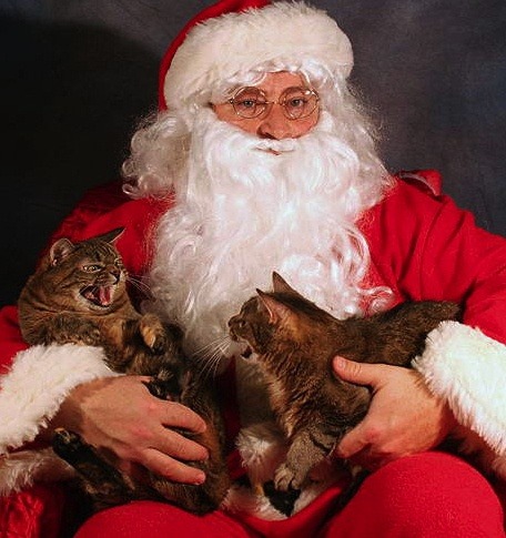 noselfpreservation:  shartonnay:  shartonnay:  i think i’ve found my favorite christmas photo of all time  reblogging this again so more people can gaze upon its beauty  It was then that Santa realized he only had seconds to live.