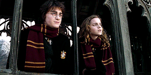 hermionegrangers: I love her like a sister and I reckon she feels the same way about me. It’s always
