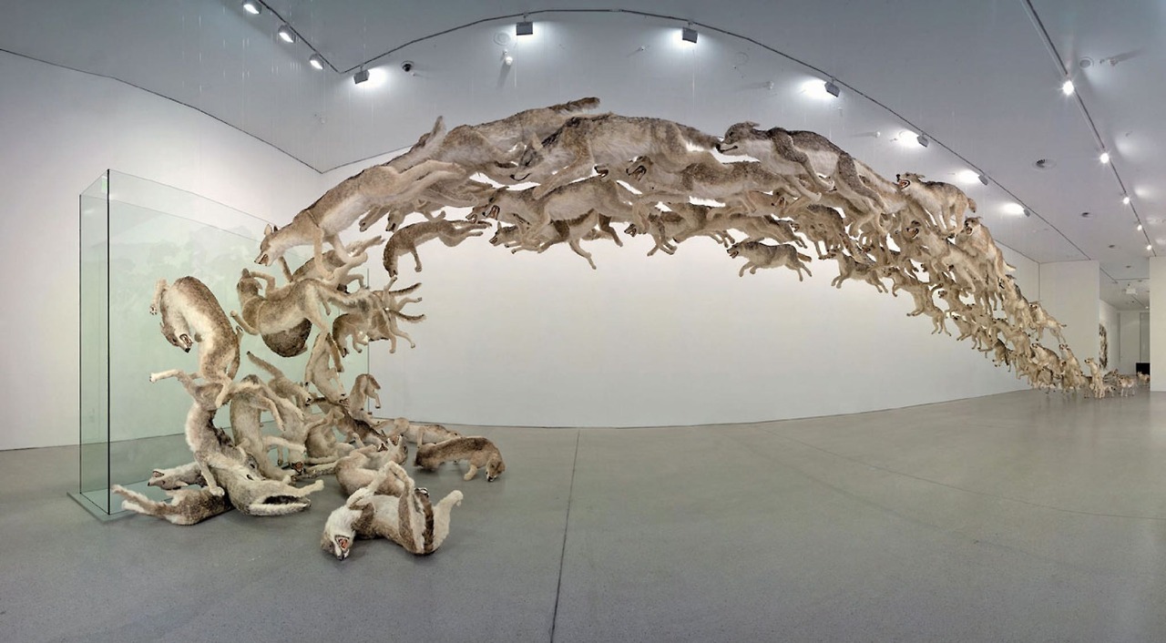 doctornsara: davidgilmoursmanboobs:  sixpenceee:  Cai Guo-Qiang takes an interesting