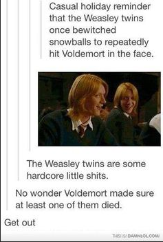 huffylemon:  Harry Potter text posts 