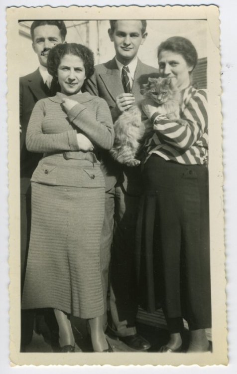 jewishmuseummd: We hope you enjoyed our #Catsgiving posts featuring some furry friends in our collec