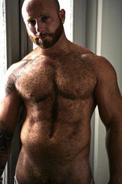 topshelfmen:  If you had describe a muscle bear this is him  Fuck