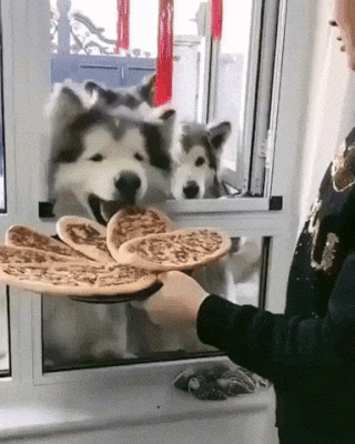 startplaysmile:Even the small dogo get a small pizza!