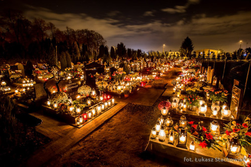 lamus-dworski:Cemetery in Żabikowo, Poland, illuminated with thousands of grave candles for the 1st 