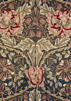 dianelikesart:  hivemining:  A few of my favourite William Morris/Morris &amp; Co. patterns. 1. Honeysuckle 18762. Windrush 18833. Corncockle 18834. Jasmine Trellis 1868-705. Poppy 1880  !!!!