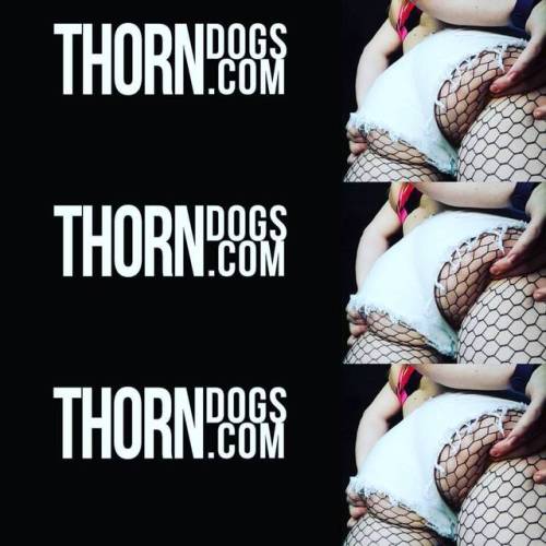 Have you checked out ThornDogs.com? There&rsquo;s a new POV blowjob video up for my members! #thornd