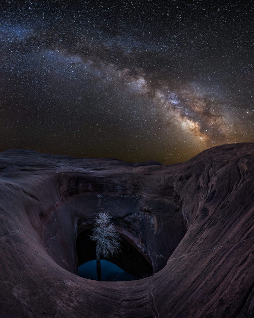 lionpuppy:  Life in the Void | Jared Warren 