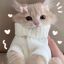 thisisdaisysun