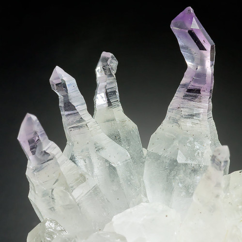 ifuckingloveminerals: AmethystGoboboseb Mts, Brandberg Area, Erongo Region, Namibia