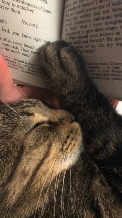 karas-sweaters:A reading companion