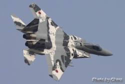 Toocatsoriginals:  Spectacular Japanese Air Self-Defense Force (Jasdf) F-15J/Dj Paint