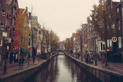 allthingseurope:  Amsterdam, Netherlands