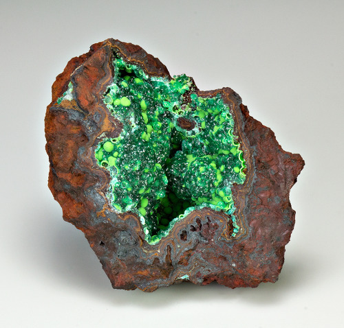 mineralia:  Conichalcite from Mexico by Weinrich Minerals