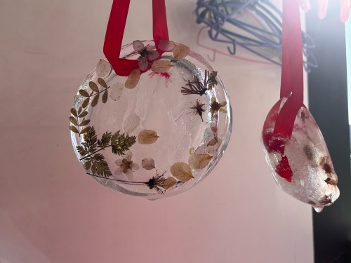 Its Winter Solstice Today! I Made Some Ice Hanging Decorations With Dried Flowers This Morning