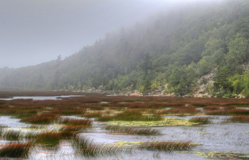 The Tarn by Warren Reed
