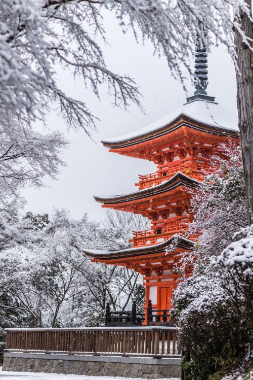 lifeisverybeautiful:Snow in Kyoto (2) Standing in silence by Takahiro Bessho