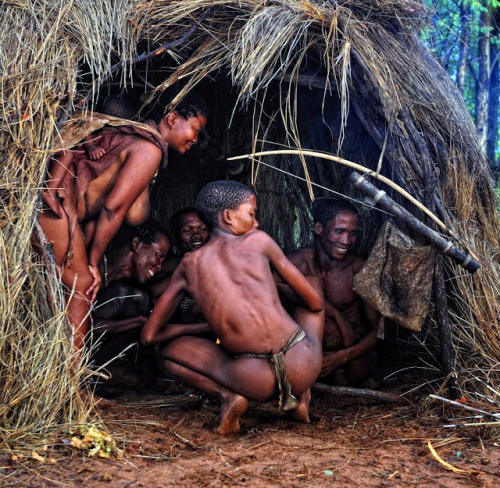 tribalbeauties:Bushwomen