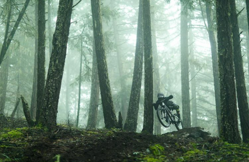 bikesandpunk: Fun.