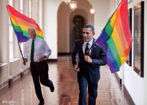 humorpresident:  They are wearing different ties in these pictures which means that on at least two occasions Obama and Joe Biden have run around the whitehouse waving pride flags, and that makes me really happy 