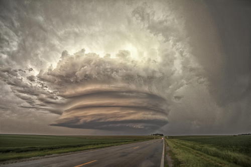 end0skeletal:  (by Caleb Elliott)  Kewl.